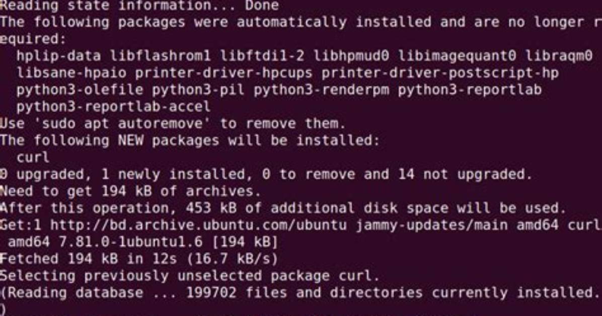 Where Is Curl Installed on Linux?