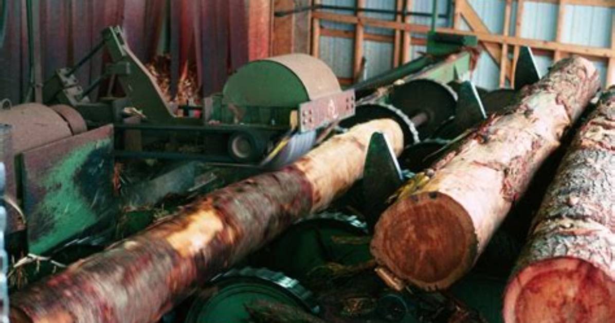 Where Is Debarking Illegal?