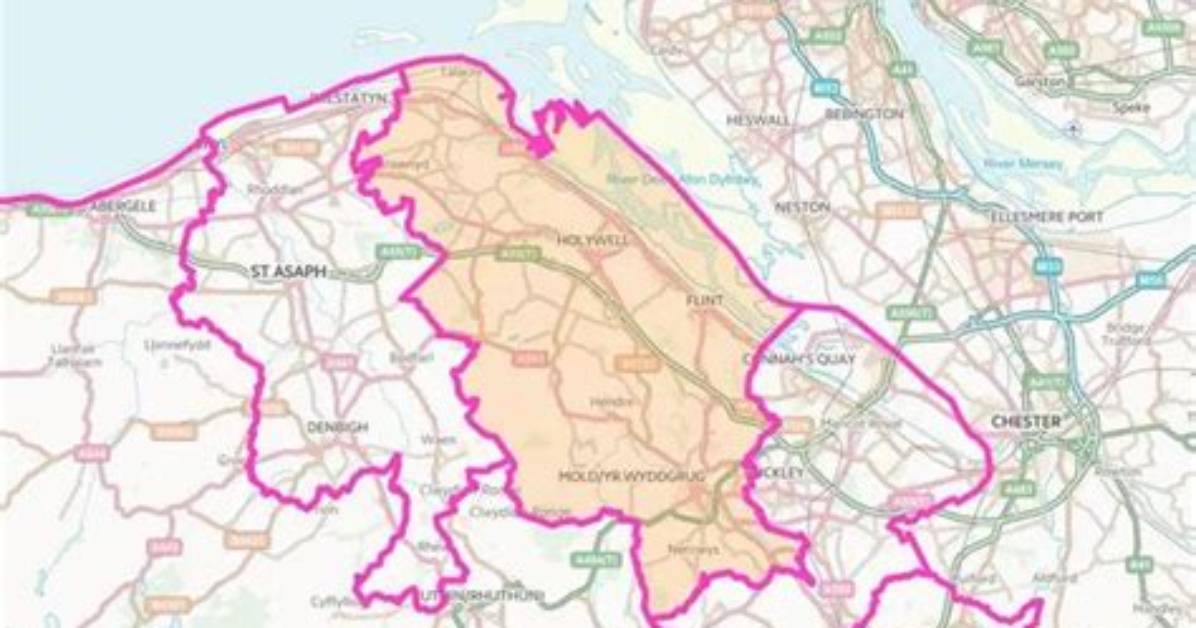 Where Is Delyn Constituency?
