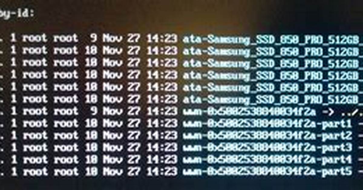 Where Is Disk Wwn in Linux?
