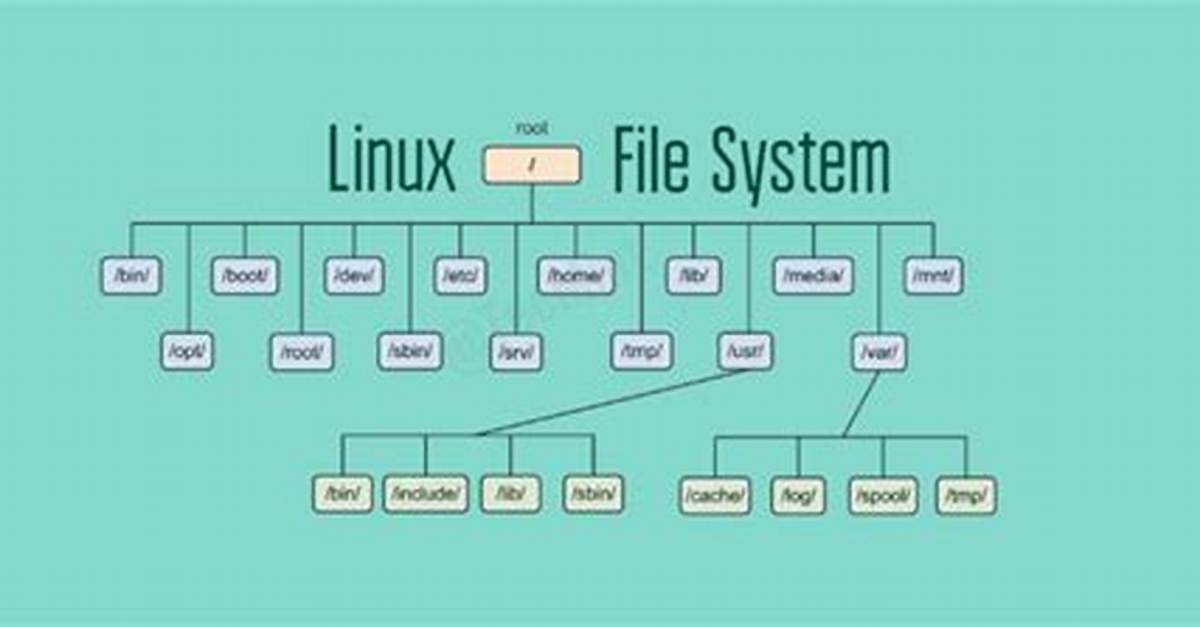 Where Is Etc in Linux?