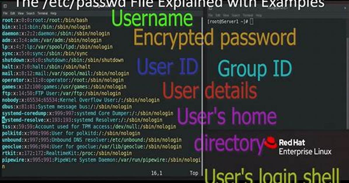 Where Is Etc Passwd File in Linux?