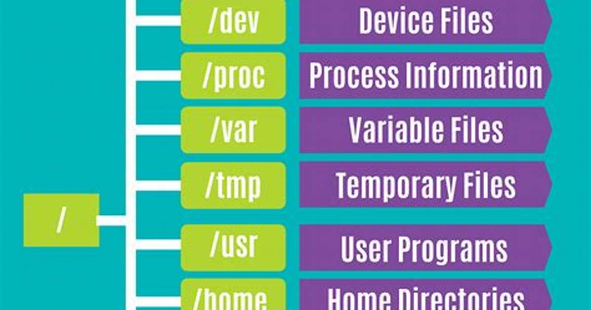 Where Is Installation Directory in Linux?