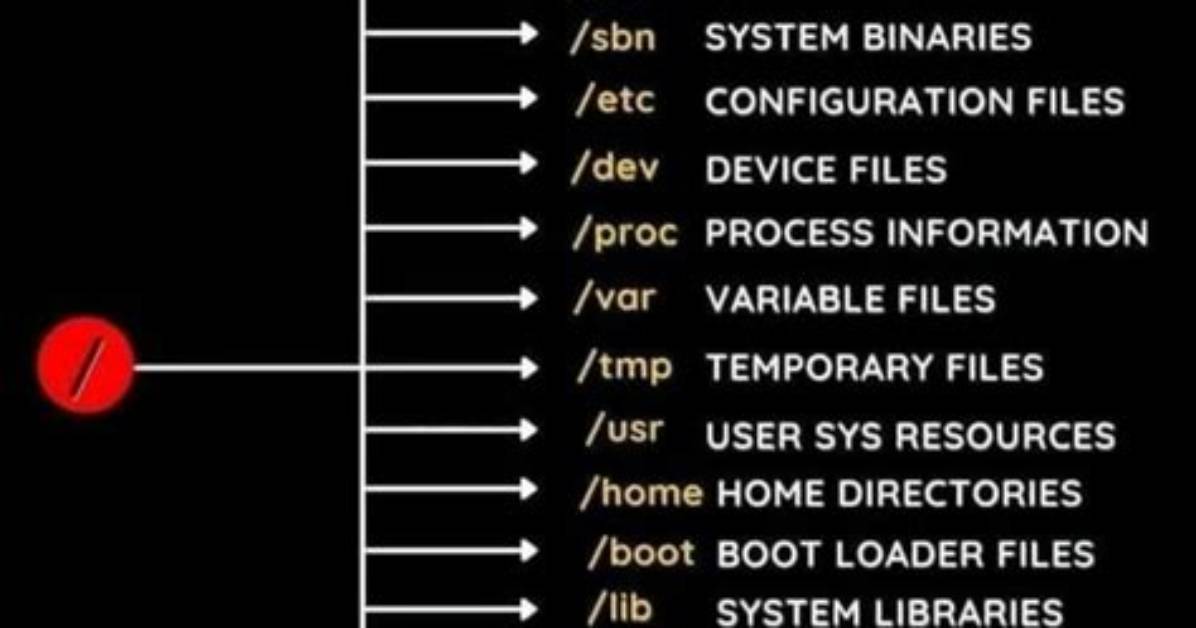 Where Is Installation Path in Linux?