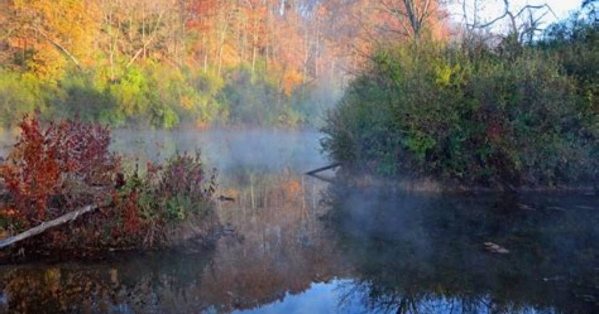 Where Is Kickapoo State Park?