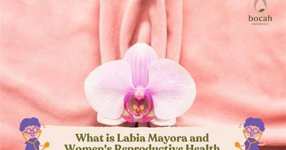 Where Is Labia Located?
