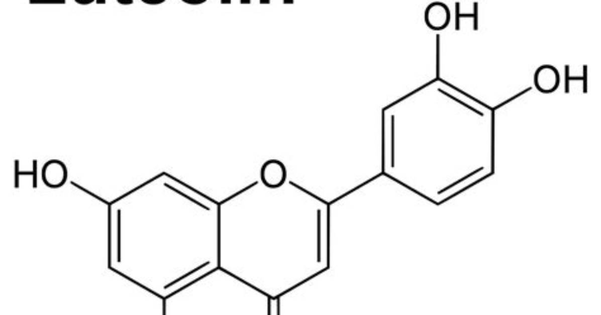 Where Is Luteolin Found?