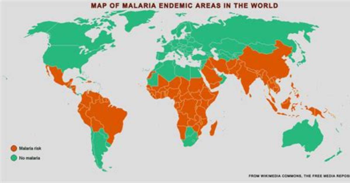 Where Is Malaria Most Commonly Found?
