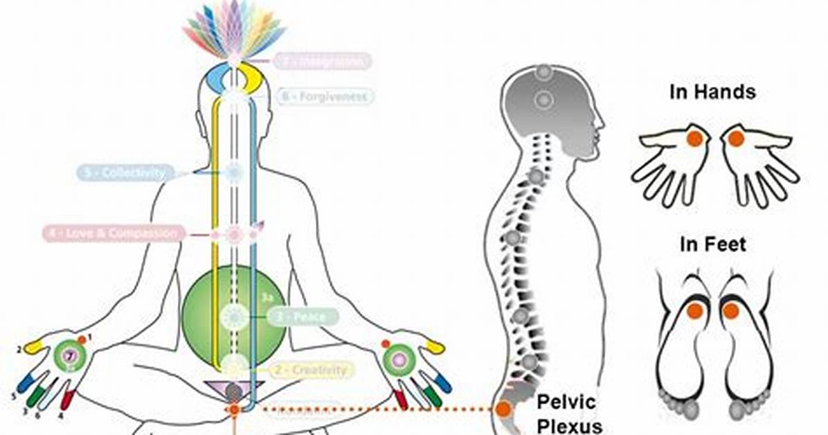 Where Is Mooladhara Chakra Located?