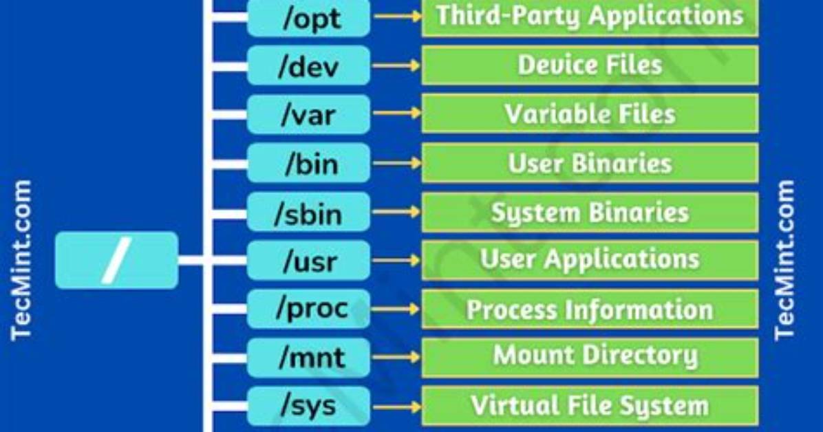 Where Is My Working Directory Linux?