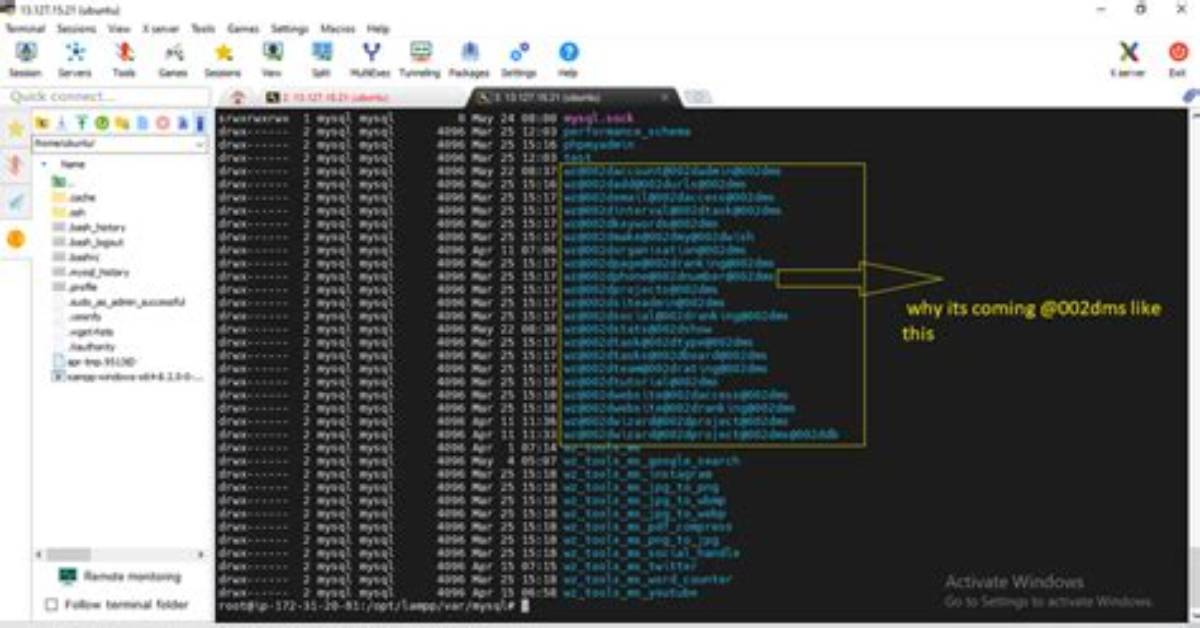 Where Is Mysql Db Stored Linux?
