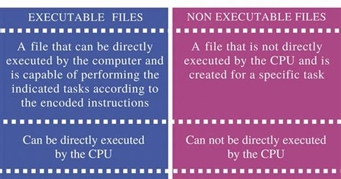 Where Is Non Executable File in Linux?