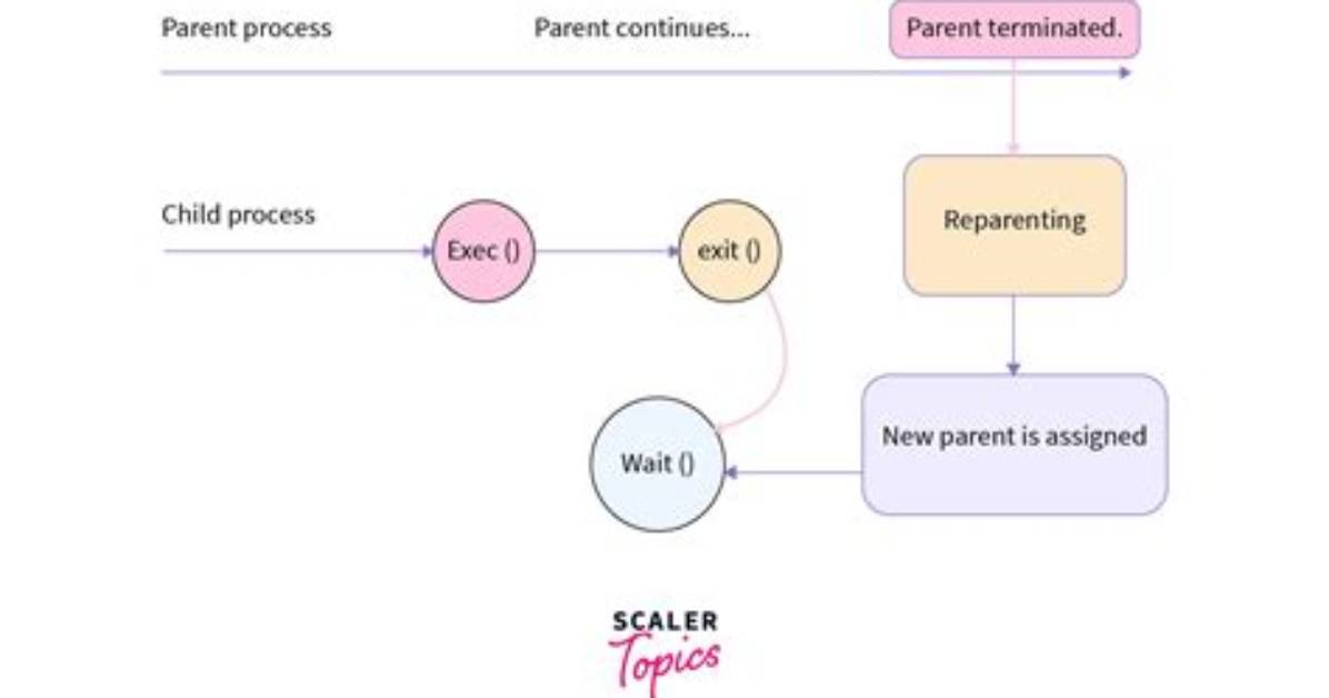Where Is Orphan Process in Linux?