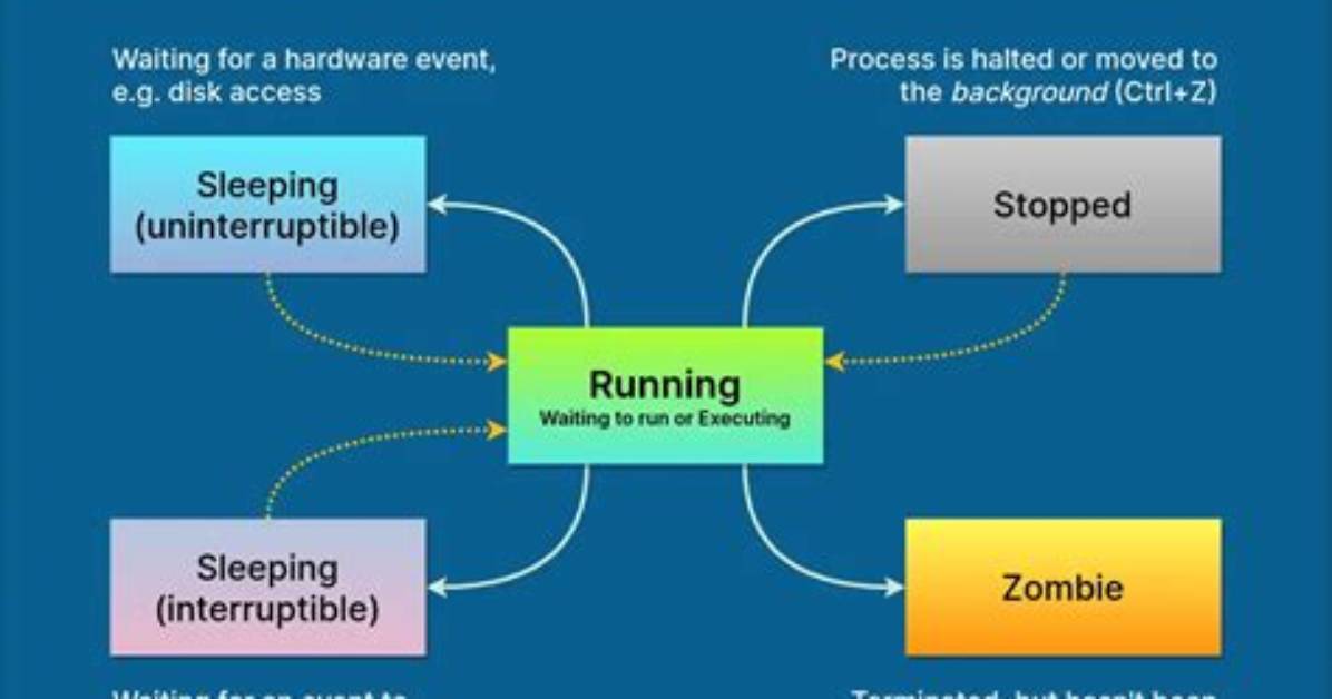 Where Is Process Running Linux?