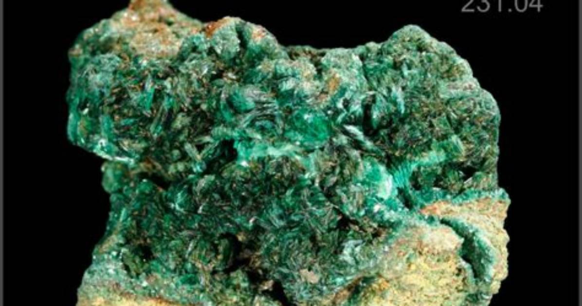 Where Is Protactinium Found?