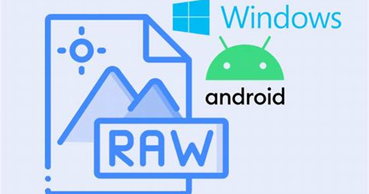 Where Is Raw File in Android?