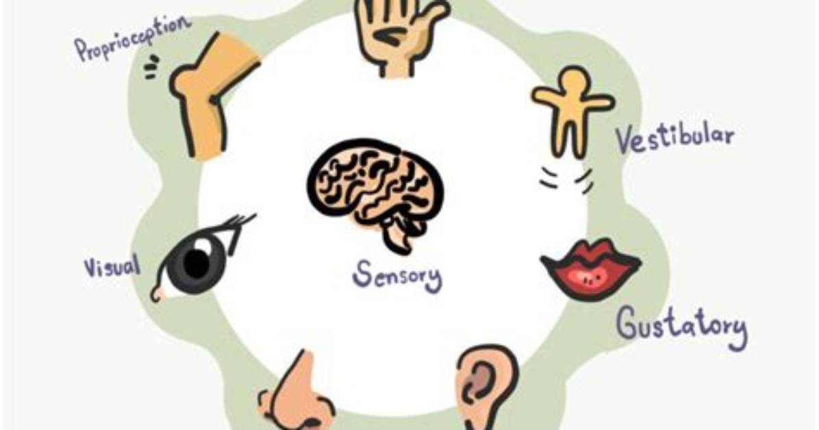 Where Is Sensory Interaction?