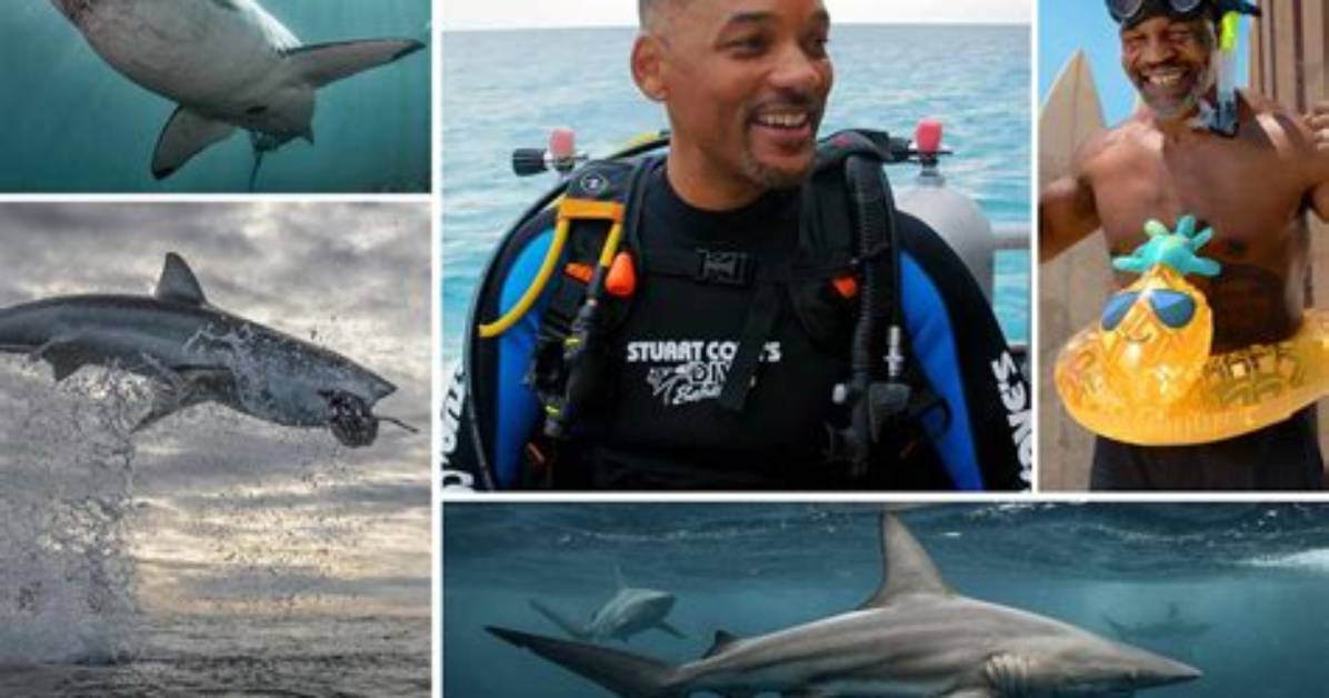 Where Is Shark Week 2020?