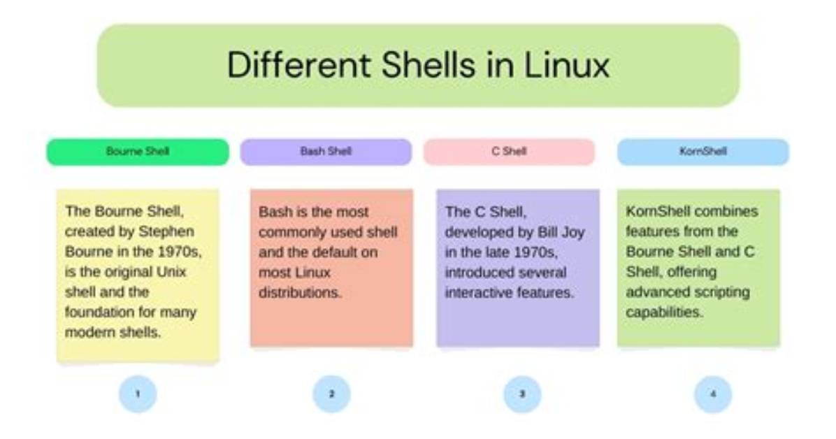 Where Is Shell Located in Linux?