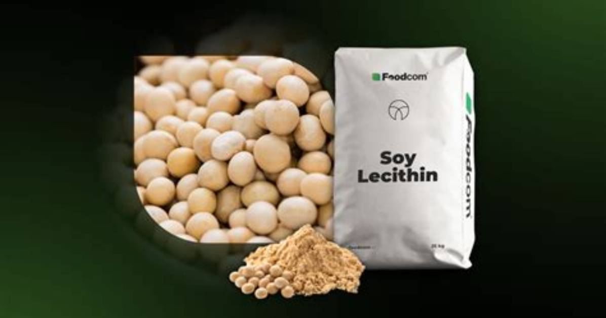 Where Is Soy From