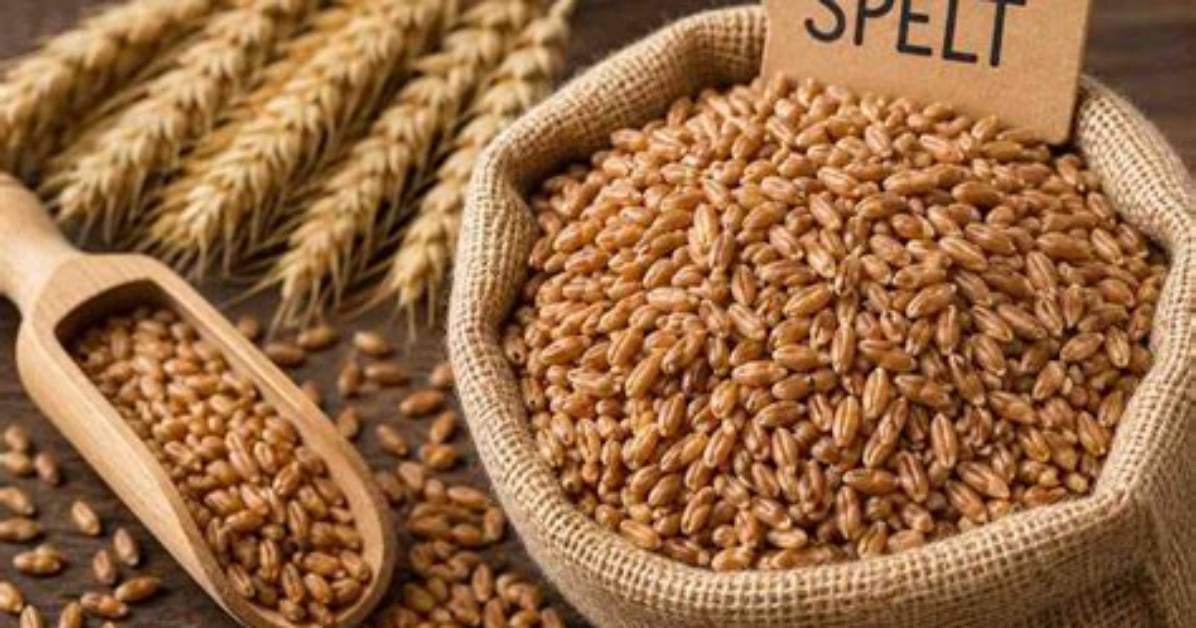Where Is Spelt From