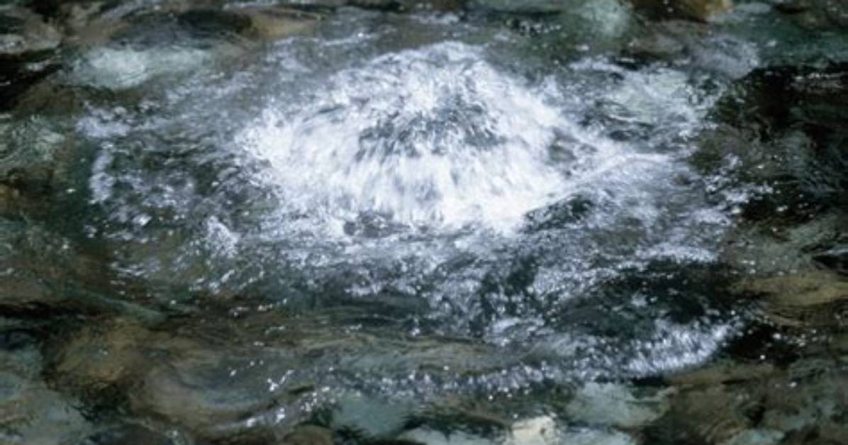 Where Is Spring Water from?