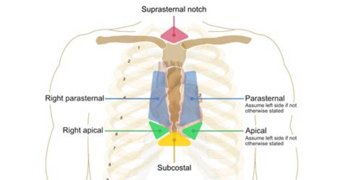 Where Is Suprasternal Notch?