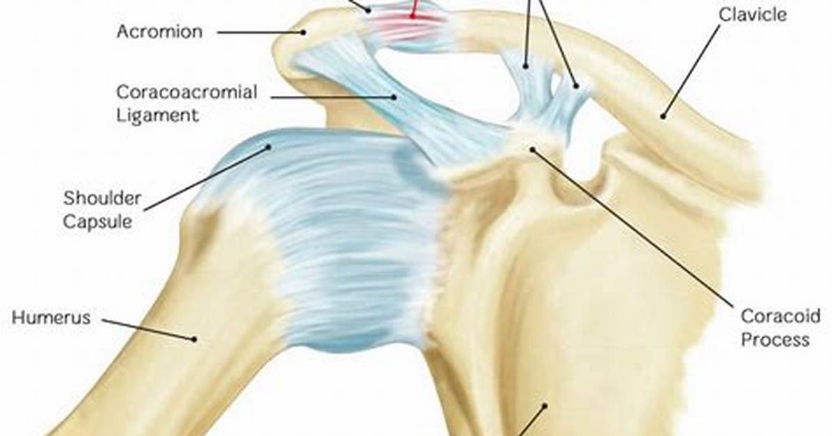 Where Is the Ac Joint?