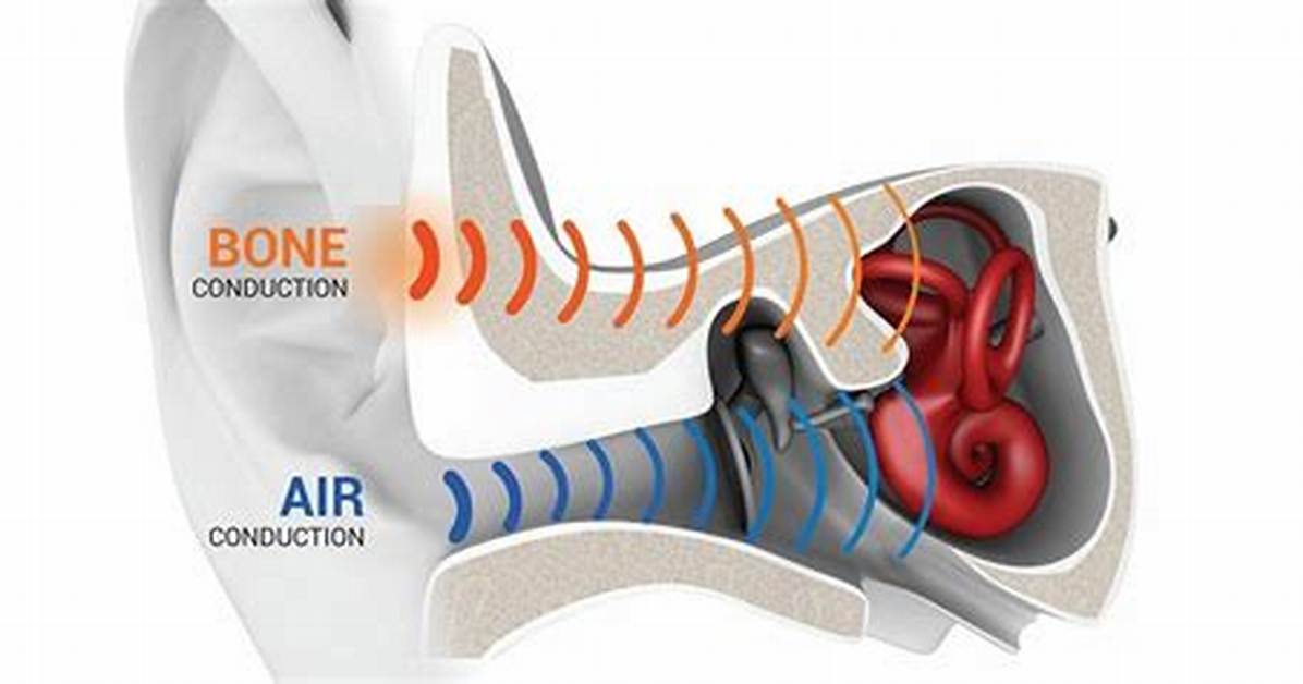 Where Is the Air Conduction?