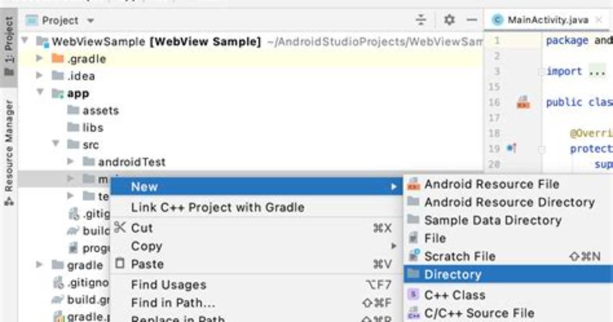 Where Is the Assets Folder in Android Studio?