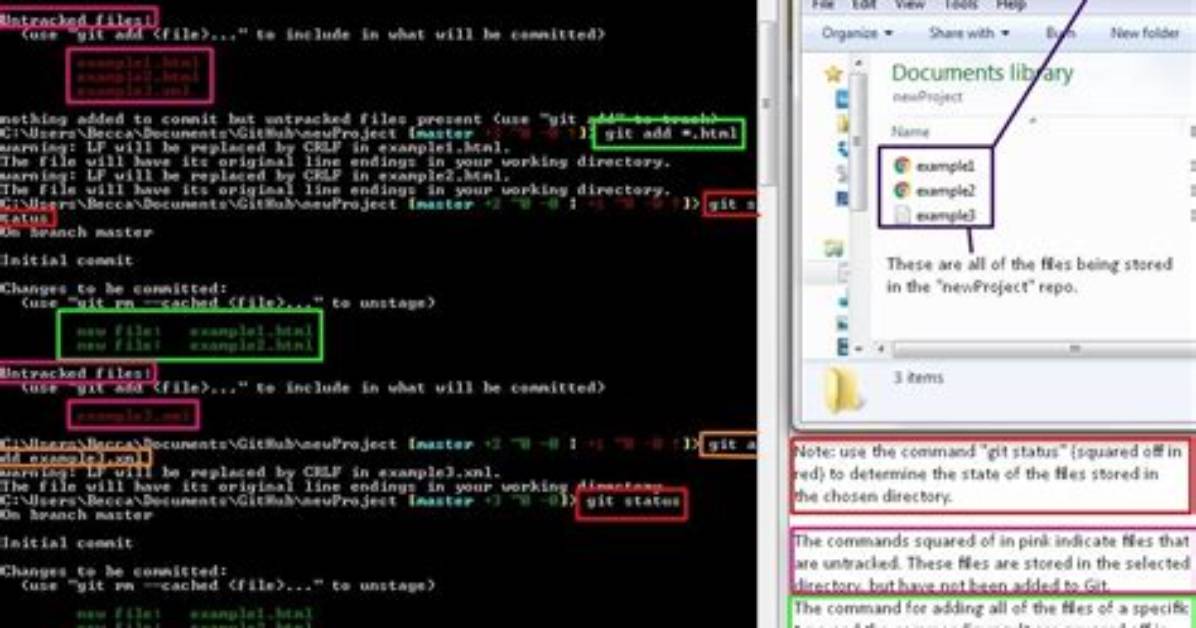 Where Is the Git Shell