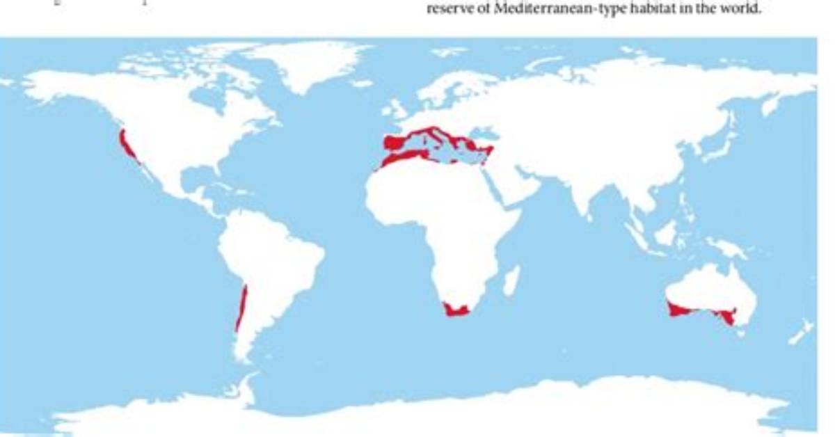 Where Is the Mediterranean Biome Located