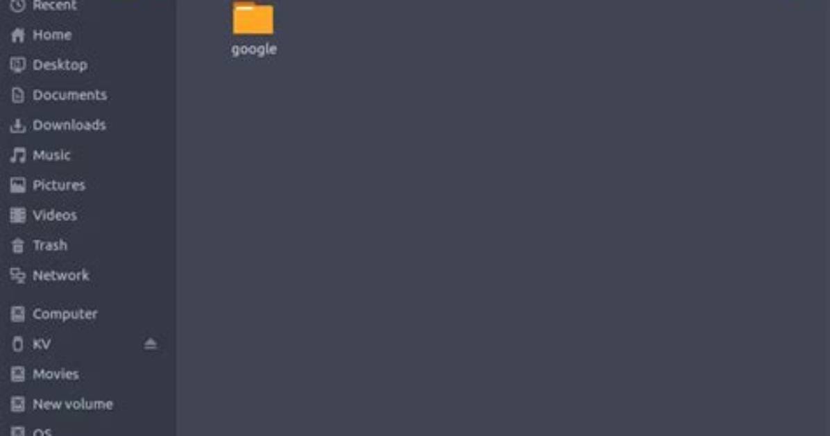 Where Is the Opt Directory in Linux?