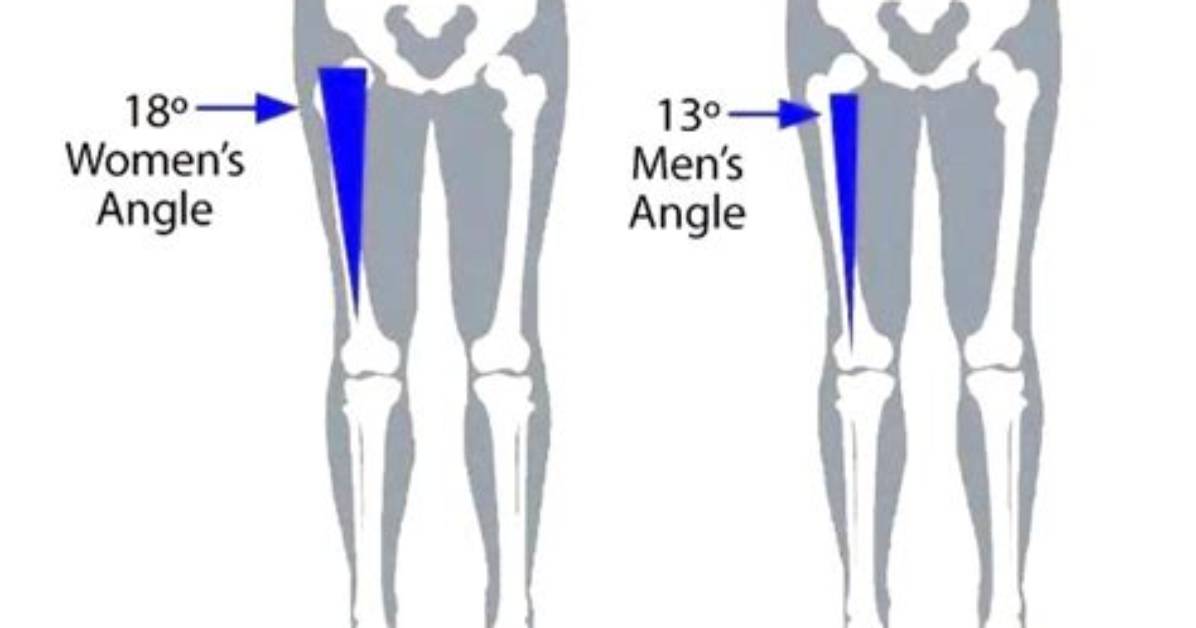 Where Is the Q Angle