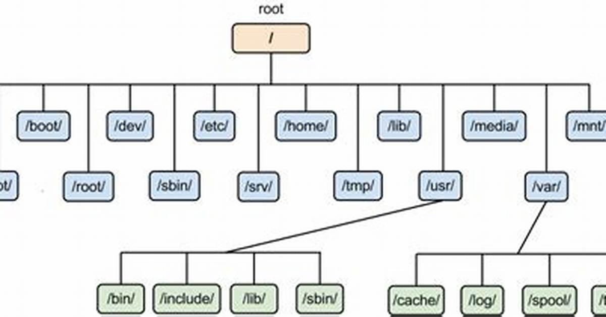 Where Is the Root Folder in Linux?