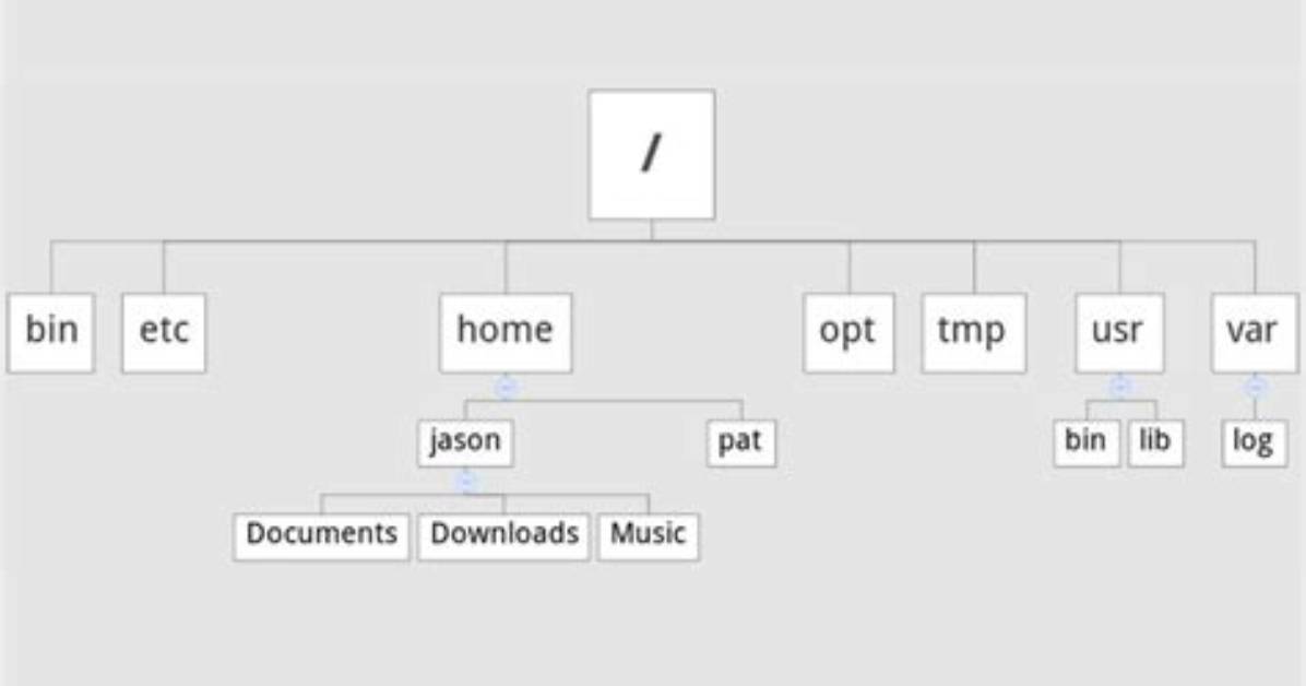 Where Is the Tree Directory in Linux?