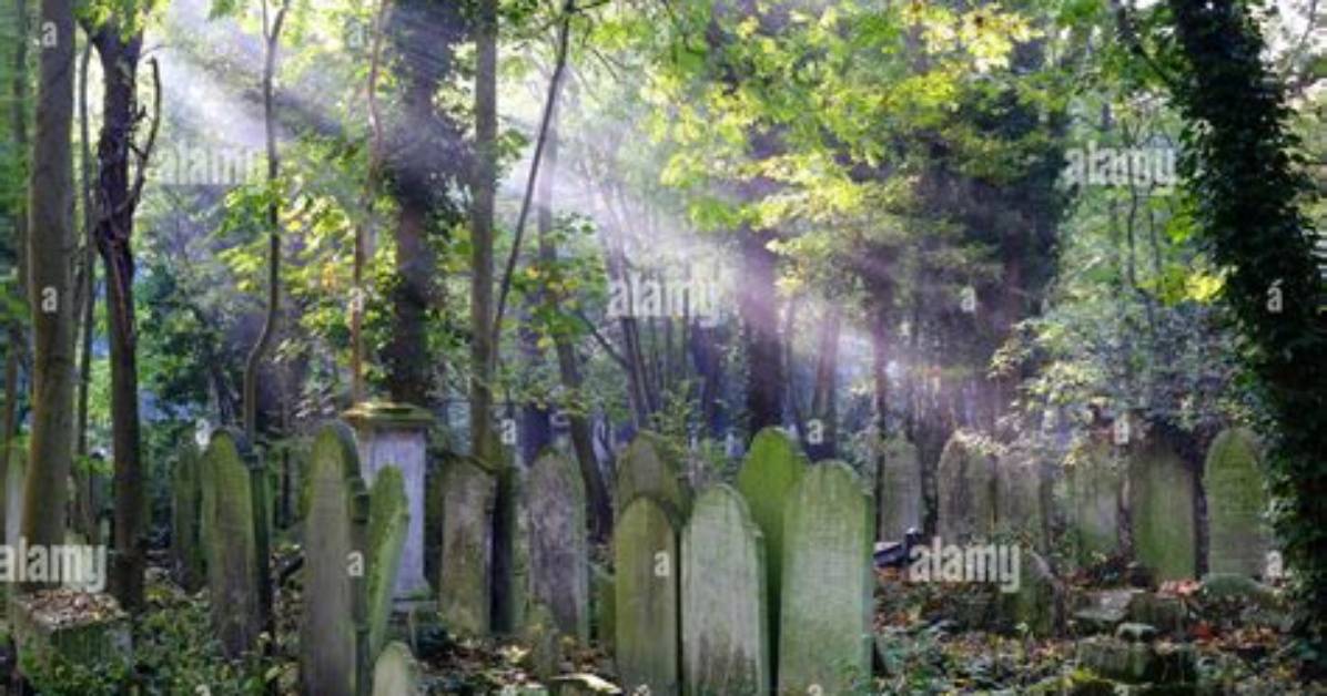 Where Is Tower Hamlets Cemetery?