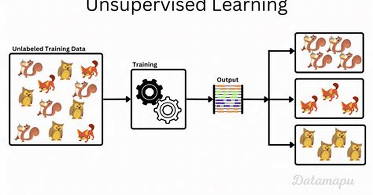 Where Is Unsupervised Learning Used?