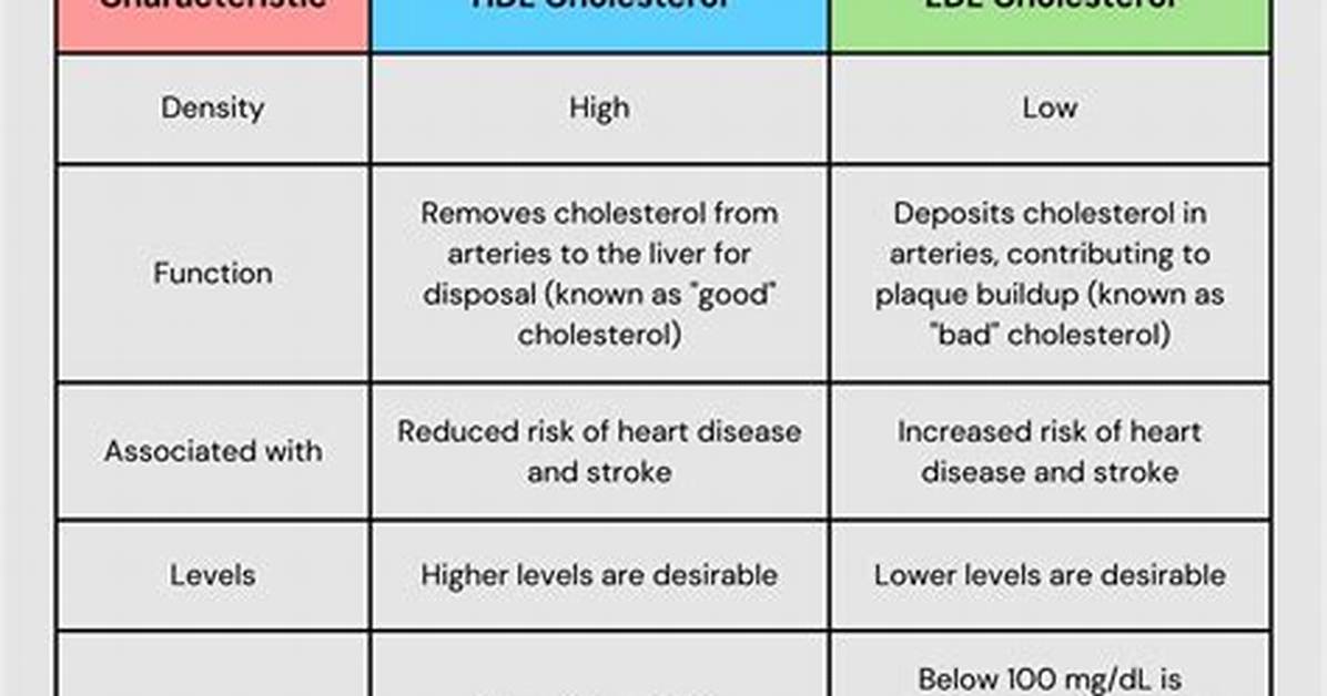 Where Ldl Comes from?