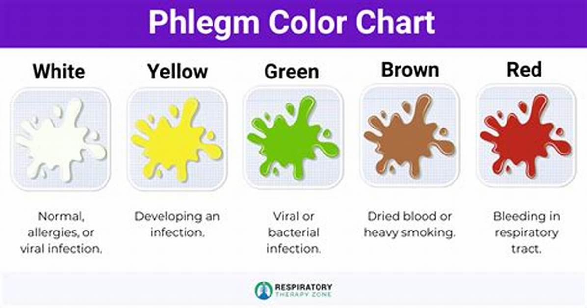 Where Phlegm Comes from?