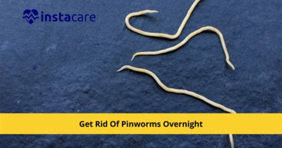 Where Pinworms Come from?