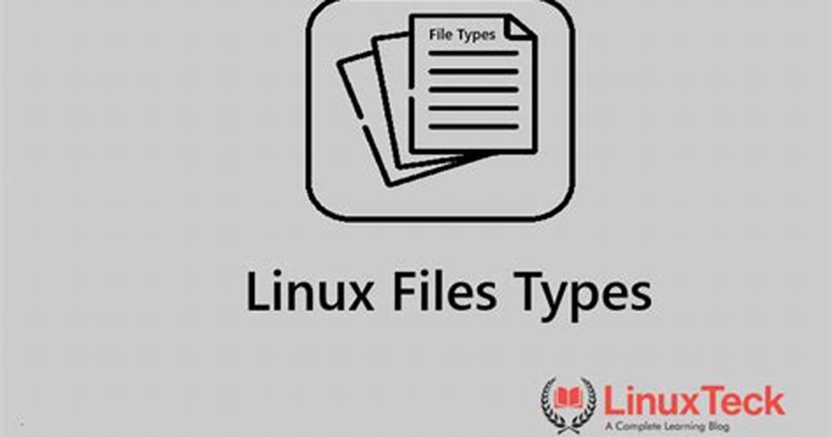 Where Should I Put Files in Linux?