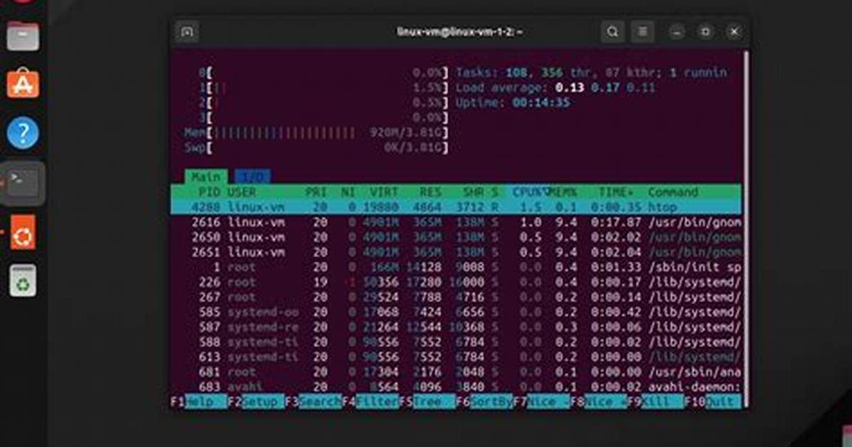 Where Should I Put Programs in Linux?