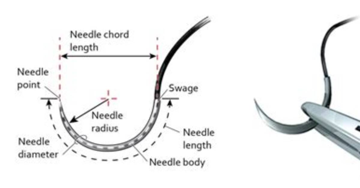 Where Should Suture Needles Be Placed