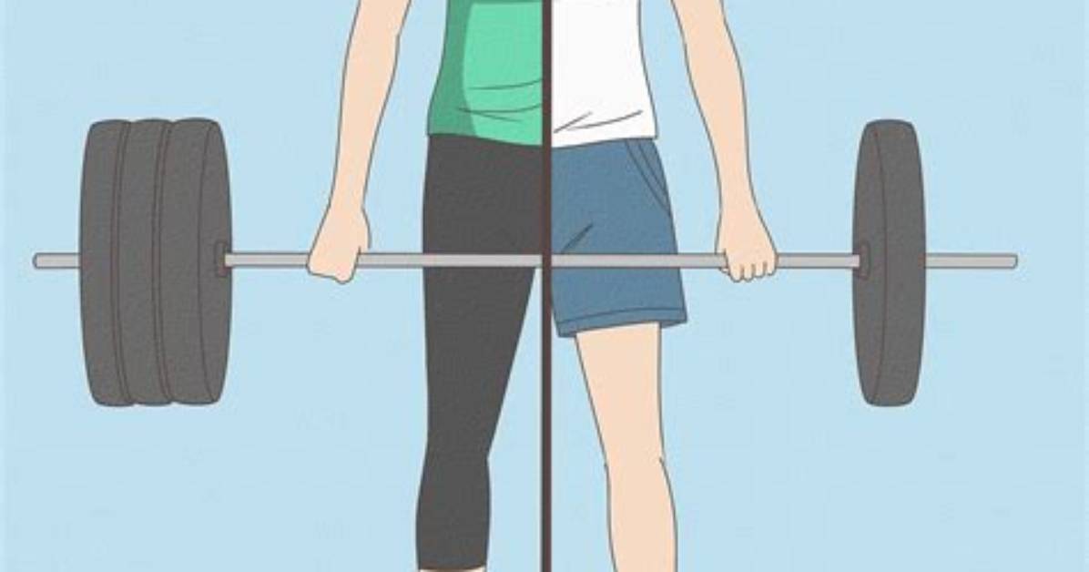 Where to Begin Weight Lifting?