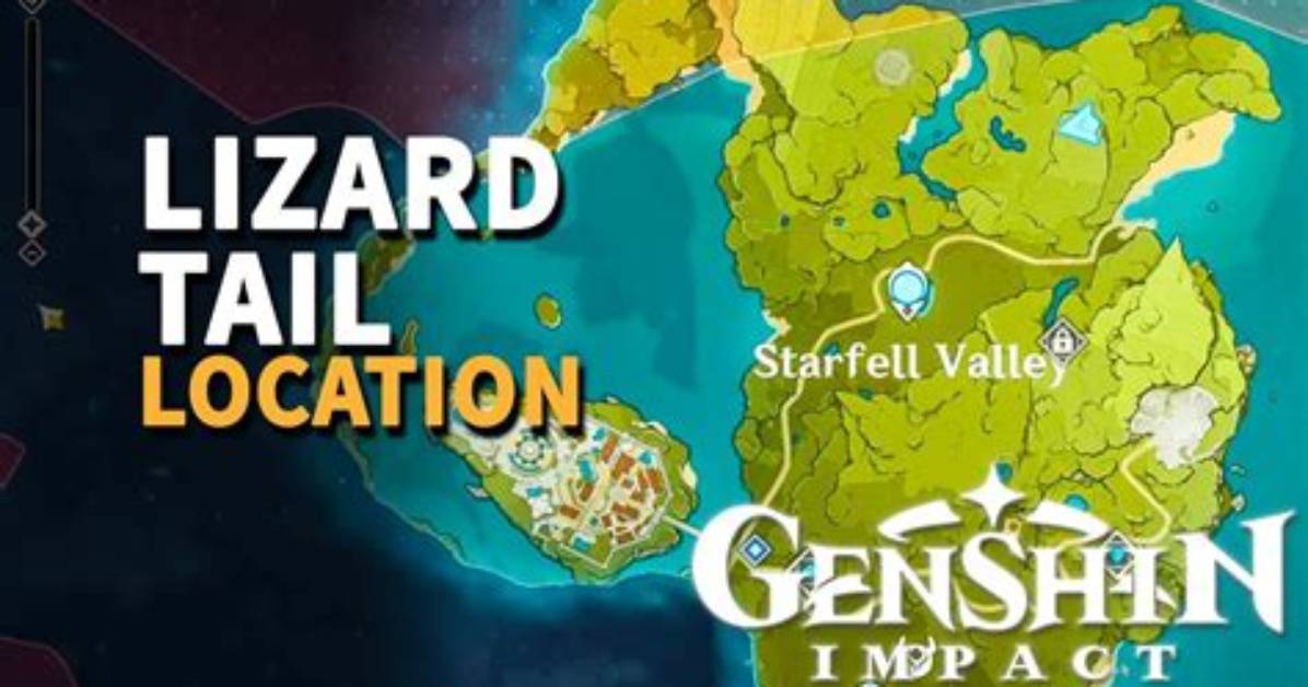Where to Buy Lizard Tail Genshin Impact