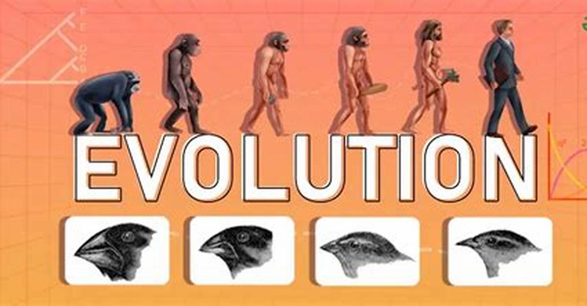 Where Was Evolution Discovered?