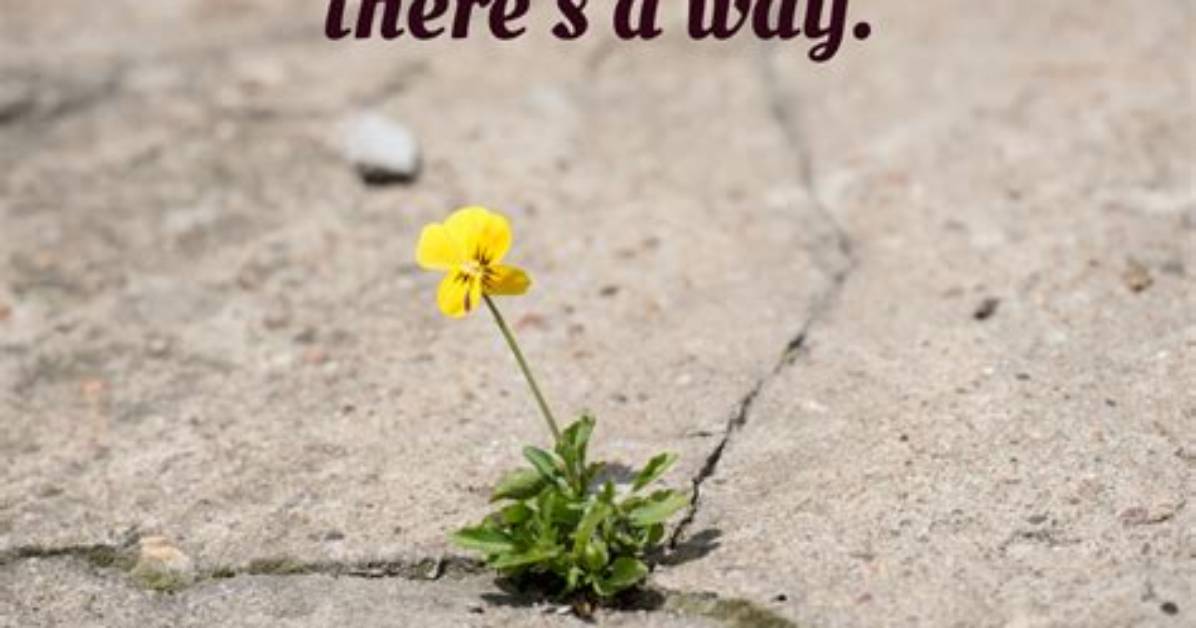 Where Will There Is a Way?
