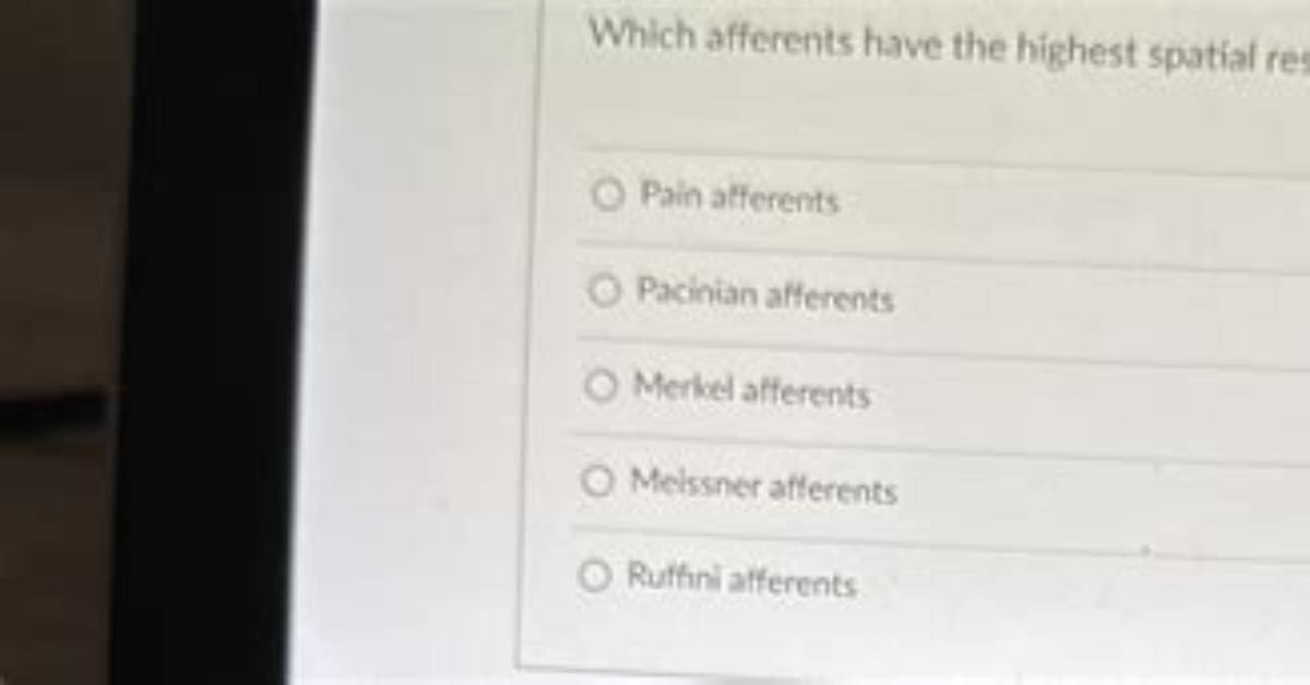 Which Afferents Have the Highest Spatial Resolution?