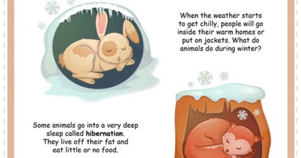 Which Animals Do Hibernation?